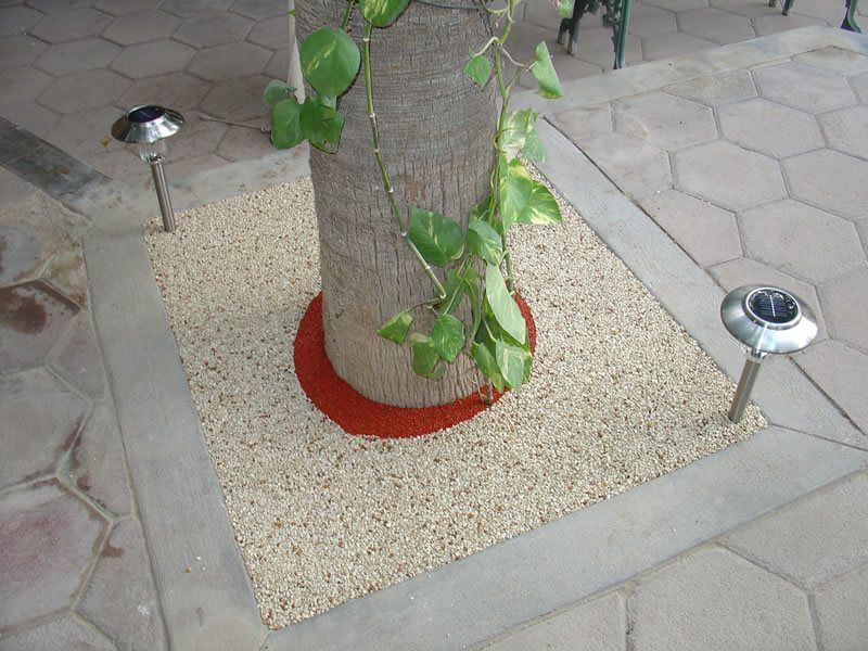 Rubber Tree Well Installation in Encinitas, Porous Tree Well