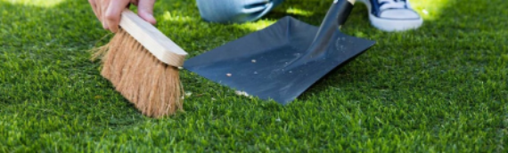 ▷How To Clean Your Artificial Grass Lawn Encinitas?