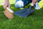 How To Clean Your Artificial Grass Lawn Encinitas?