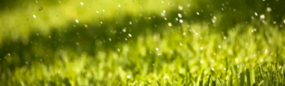 ▷Reasons Artificial Grass Is The Best Choice For Rainy Season Encinitas