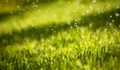 Reasons Artificial Grass Is The Best Choice For Rainy Season Encinitas