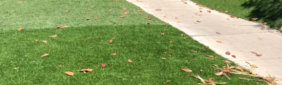 ▷7 Tips To Fix Artificial Grass Around Perimeter Encinitas