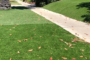7 Tips To Fix Artificial Grass Around Perimeter Encinitas