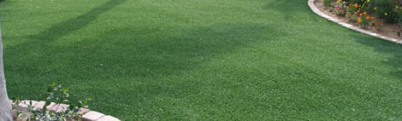 ▷5 Categories Of Artificial Grass In Encinitas