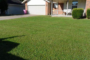 7 Tips To Use Artificial Grass For Your Home Lawn In Encinitas