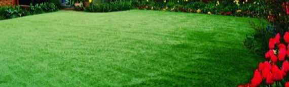 ▷7 Reasons To Choose Artificial Grass For The Transformation Of Your Yard In Encinitas