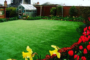 7 Reasons To Choose Artificial Grass For The Transformation Of Your Yard In Encinitas