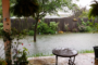 7 Tips To Restore Your Garden After Flood In Encinitas