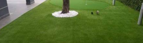 ▷7 Tips To Hide The Edges Of Artificial Grass In Encinitas