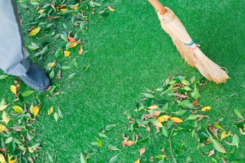 5 Tips To Brush Your Artificial Turf In Encinitas